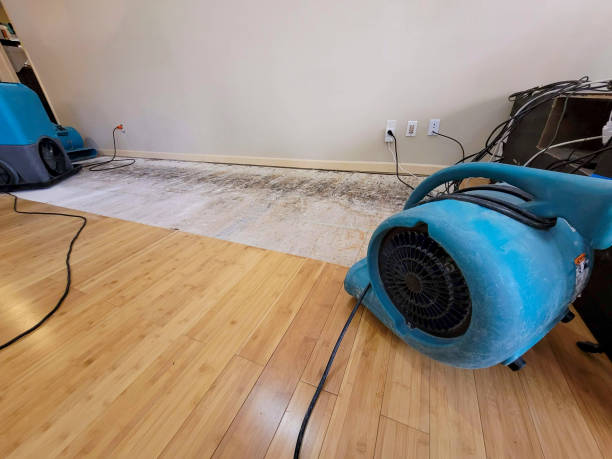 Professional Structural Drying technician working in Franconia, NH